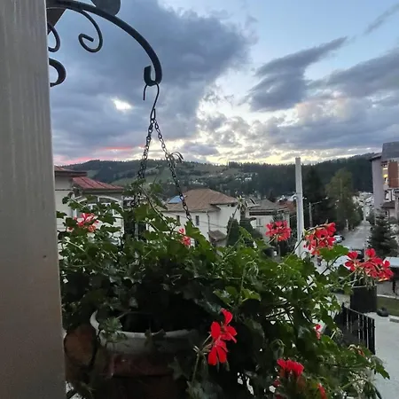 Rey Homestay Vatra Dornei